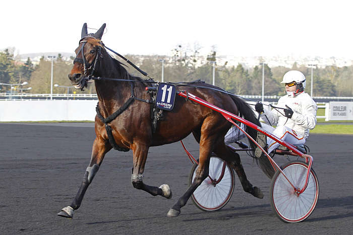 Quinté du samedi 25 janvier 2025 à Vincennes: les pronostics