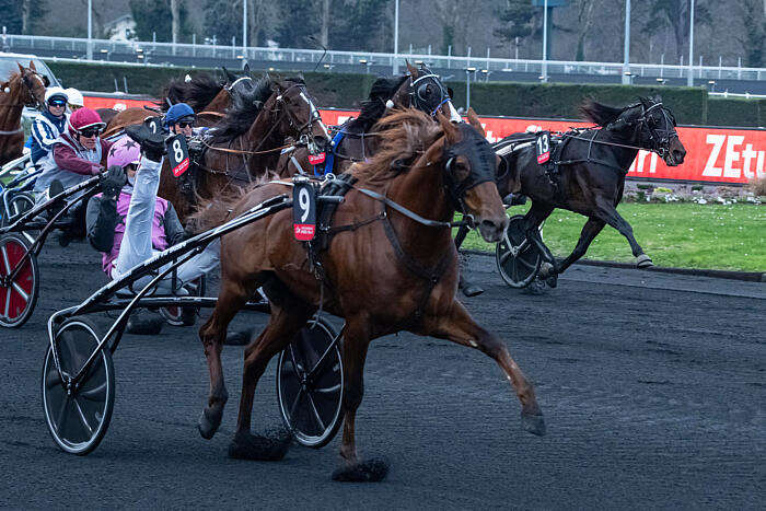 Quint Dimanche 26 Janvier 2025 Vincennes Pronostics TURF FR