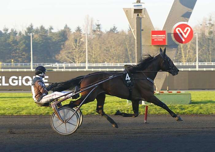 Quinté du mardi 28 janvier 2025 à Vincennes: les pronostics