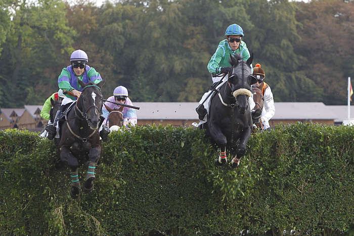 Quinté du mercredi 29 janvier 2025 à Pau: les pronostics