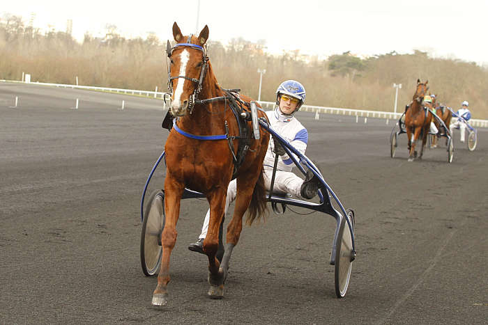 Quinté du jeudi 30 janvier 2025 à Vincennes: les pronostics