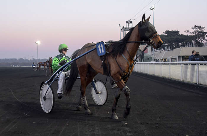 Quinté du vendredi 31 janvier 2025 à Vincennes: les pronostics