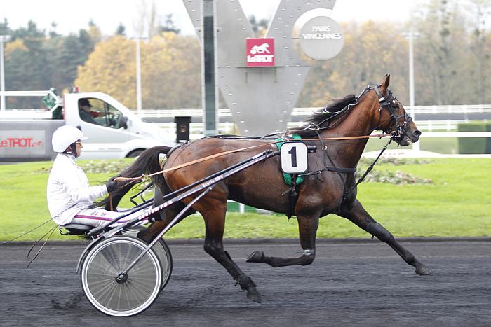 Quint Dimanche 12 Janvier 2025 Vincennes Pronostics TURF FR