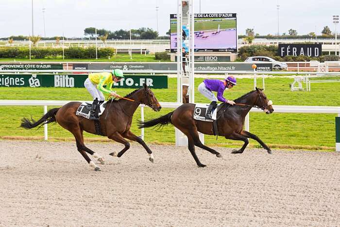 Quinté du mercredi 19 février 2025 à Cagnes: les pronostics