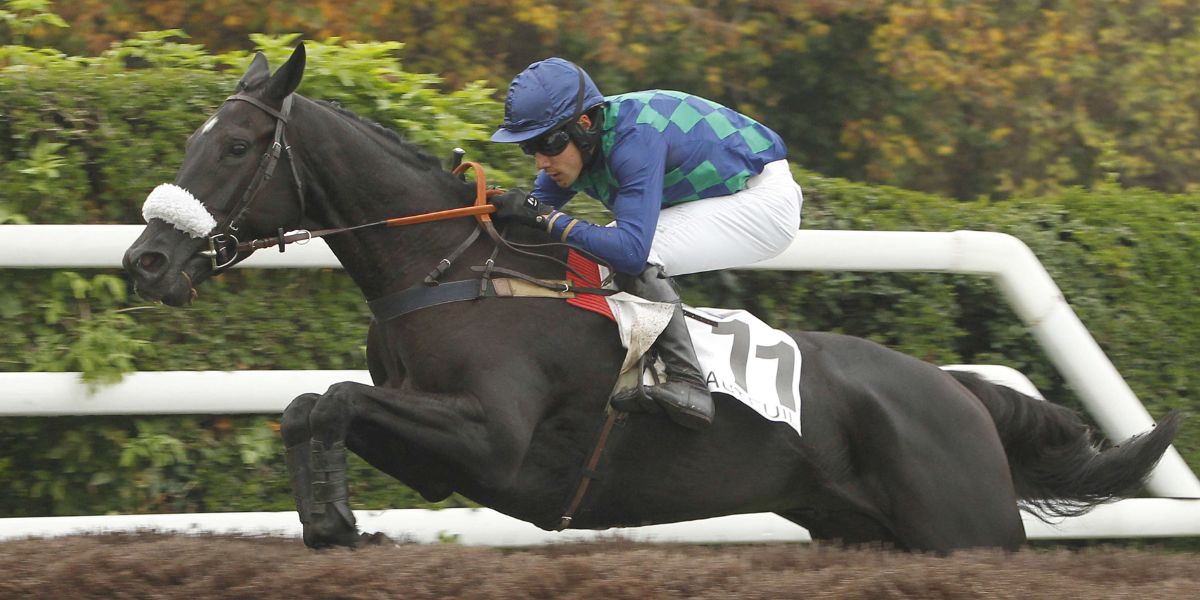 Quinté du dimanche 2 mars 2025 à Auteuil: les pronostics