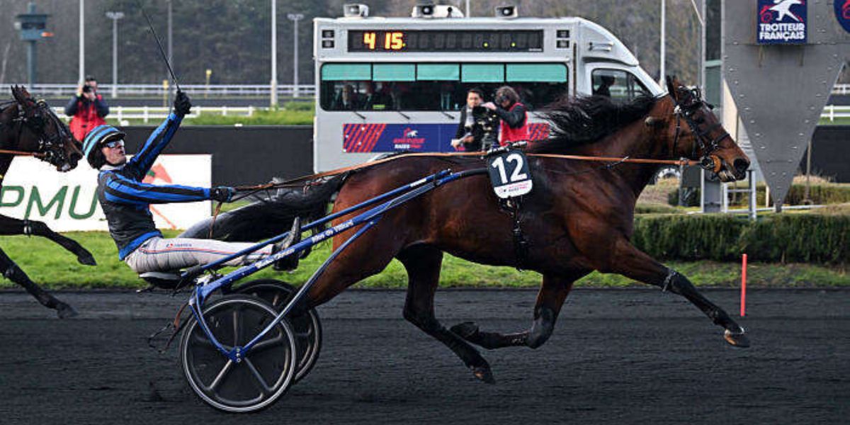 Quinté du dimanche 9 février 2025 à Vincennes: les pronostics