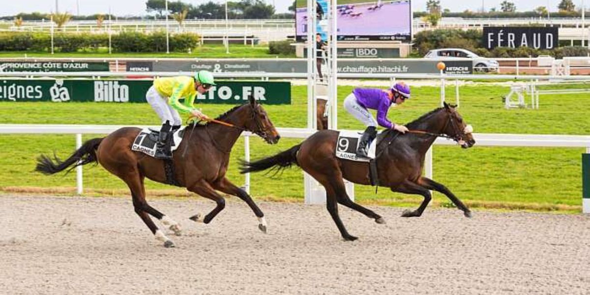 Quinté du lundi 10 février 2025 à Cagnes: les pronostics