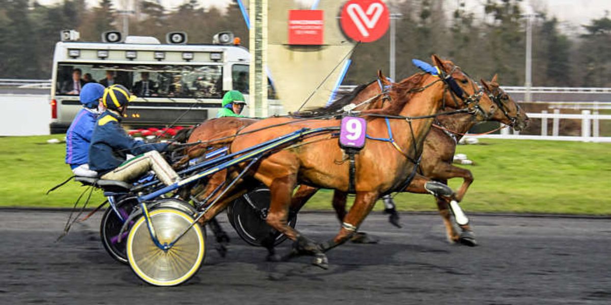 Quinté du mardi 11 février 2025 à Vincennes: les pronostics