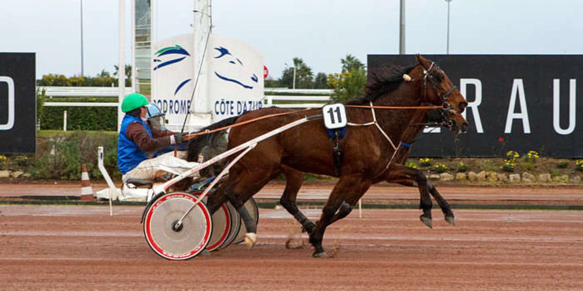 Quinté du jeudi 13 février 2025 à Cagnes-sur-Mer: les pronostics