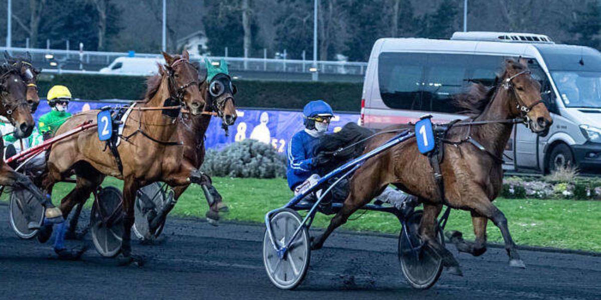 Quinté du dimanche 16 février 2025 à Vincennes: les pronostics