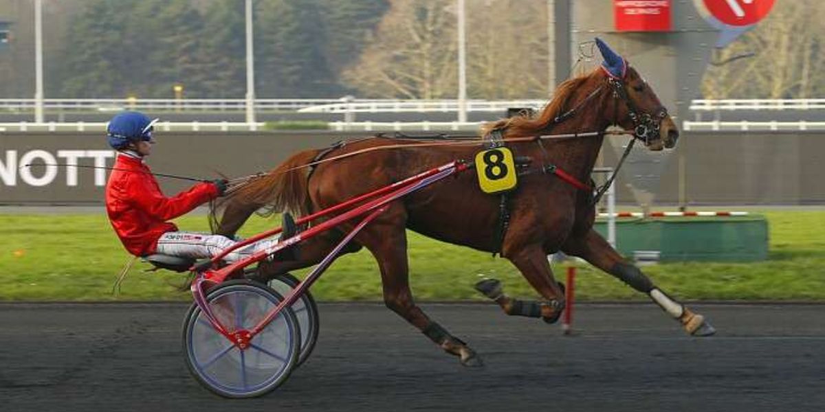 Quinté du lundi 17 février 2025 à Vincennes: les pronostics