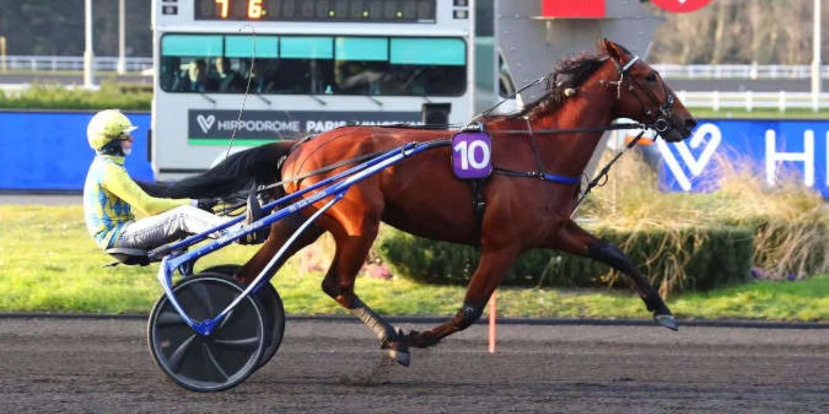 Quinté du mardi 18 février 2025 à Vincennes: les pronostics