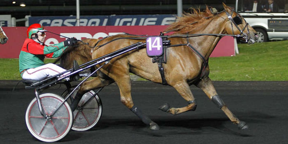 Quinté du jeudi 20 février 2025 à Vincennes: les pronostics