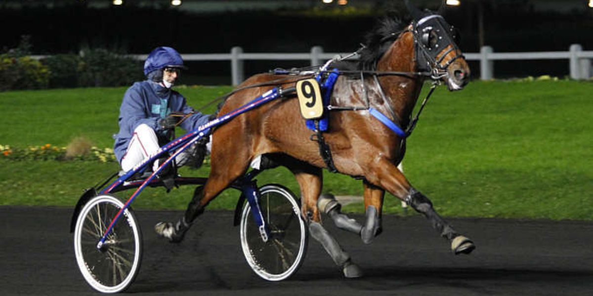 Quinté du vendredi 21 février 2025 à Vincennes: les pronostics