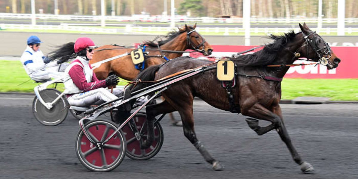 Quinté du dimanche 23 février 2025 à Vincennes: les pronostics