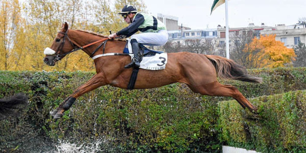 Quinté du lundi 24 février 2025 à Auteuil: les pronostics