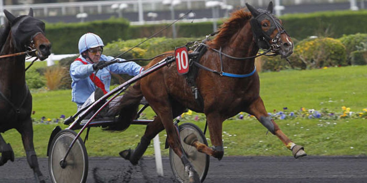 Quinté du mercredi 26 février 2025 à Vincennes: les pronostics