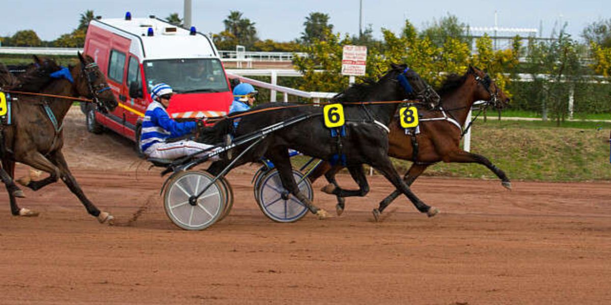 Quinté du jeudi 27 février 2025 à Cagnes: les pronostics