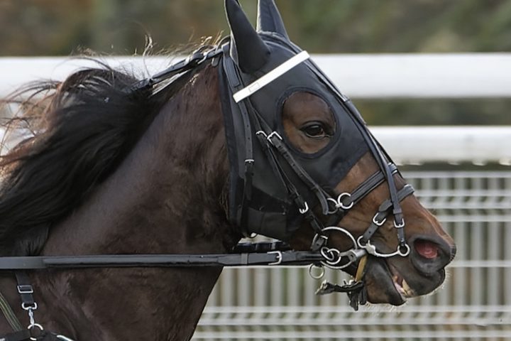 Vincennes Prix de Paris 2025