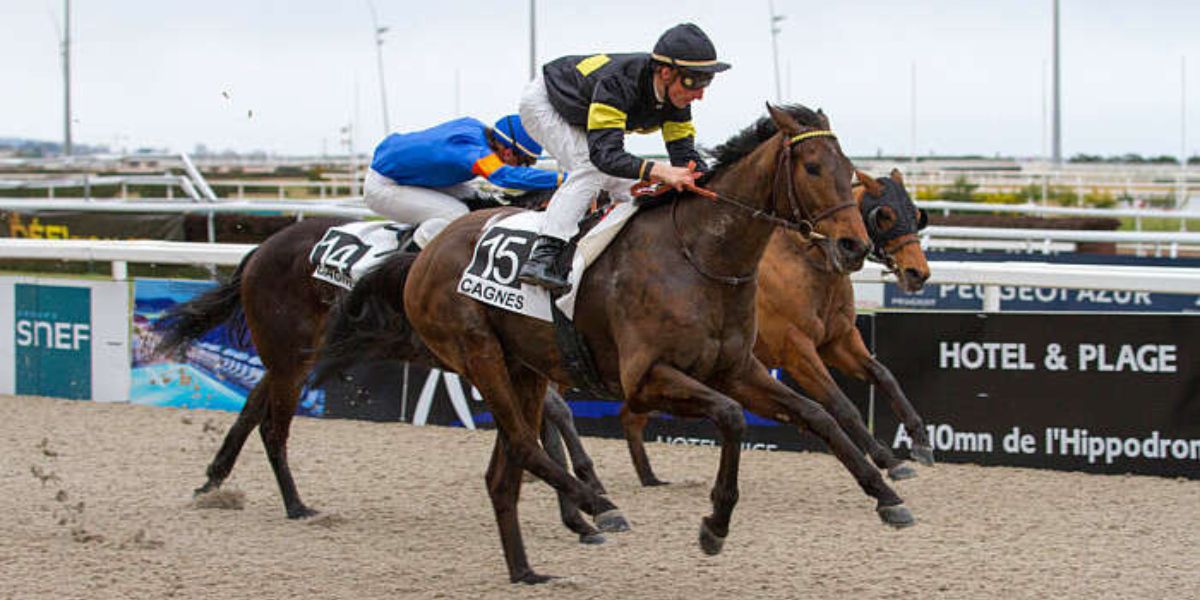 Quinté du mercredi 5 février 2025 à Cagnes: les pronostics