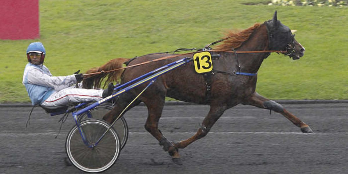 Quinté du jeudi 6 février 2025 à Vincennes: les pronostics