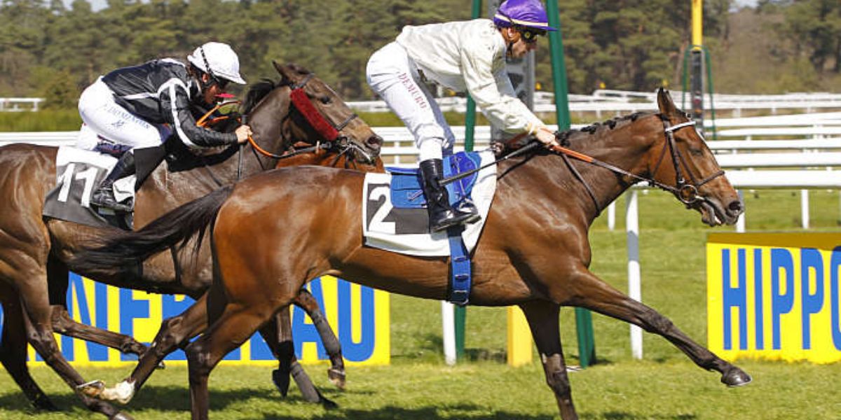 Quinté du mardi 1 avril 2025 à Fontainebleau: les pronostics