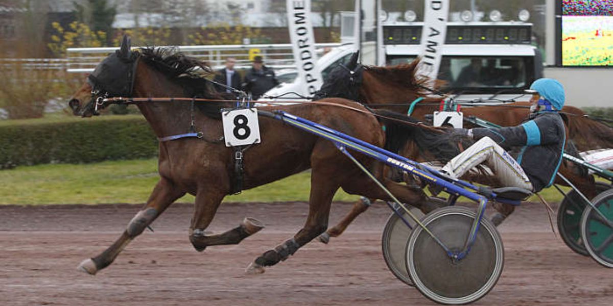 Quinté du mercredi 5 mars 2025 à Amiens: les pronostics