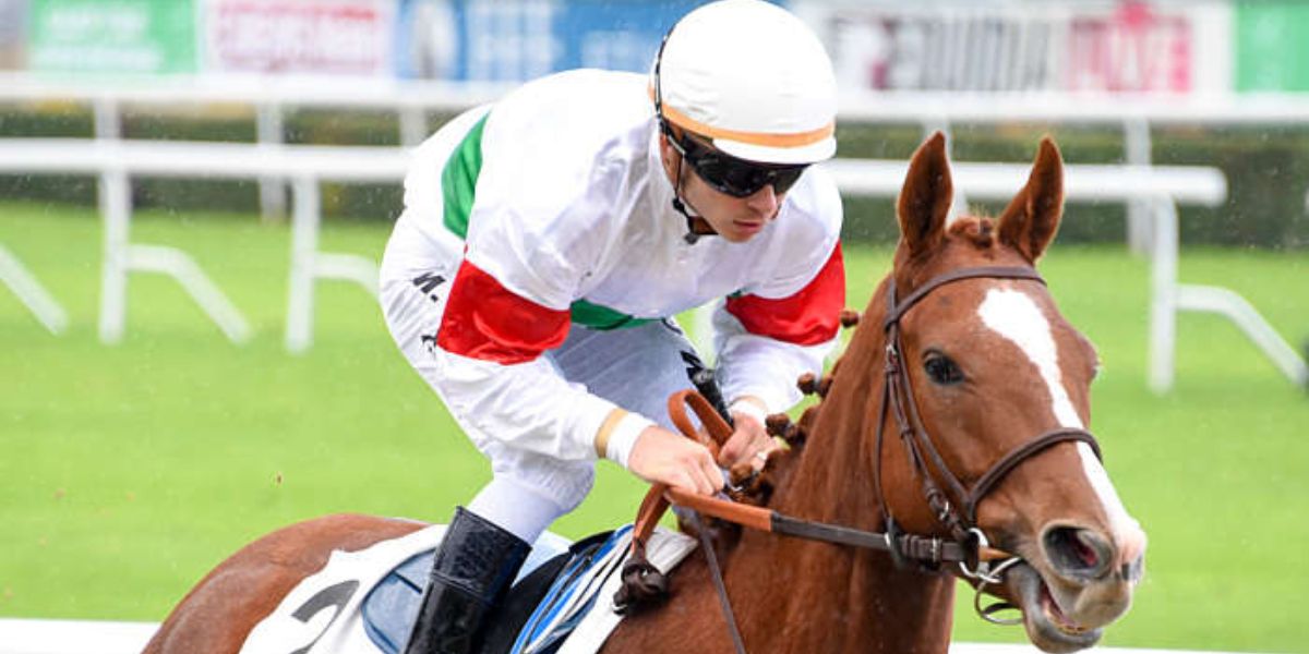 Quinté du jeudi 6 mars 2025 à Saint-Cloud: les pronostics