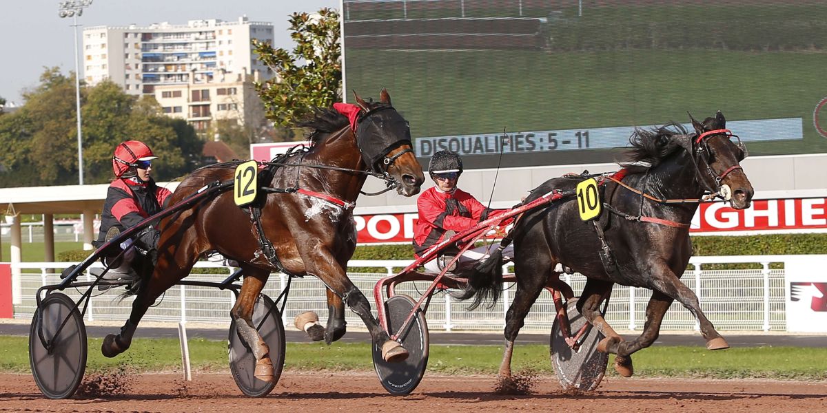 Quinté du vendredi 7 mars 2025 à Enghien: les pronostics