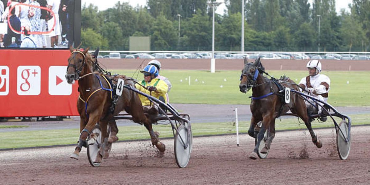 Quinté du lundi 10 mars 2025 à Caen: les pronostics