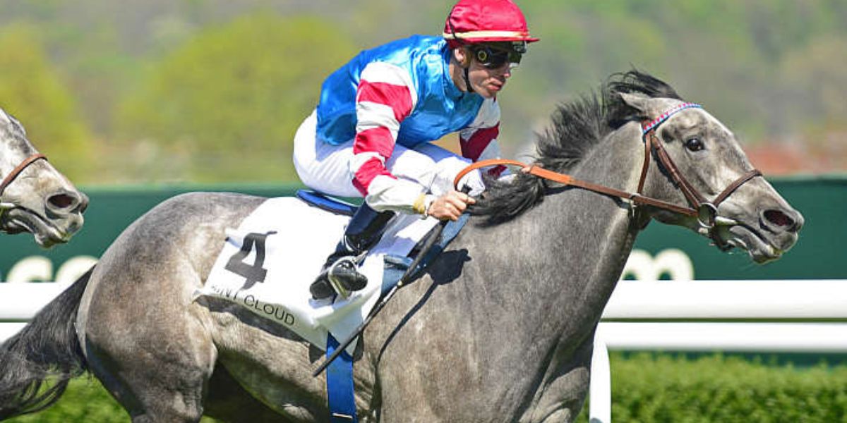 Quinté du mardi 11 mars 2025 à Saint-Cloud: les pronostics