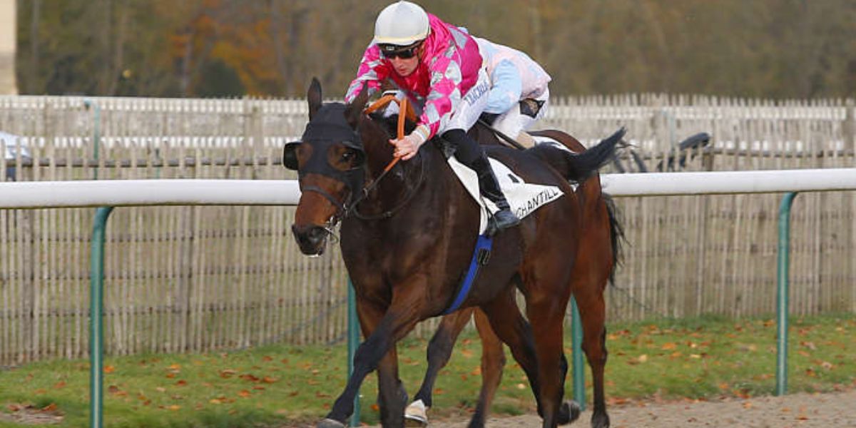 Quinté du jeudi 13 mars 2025 à Chantilly: les pronostics