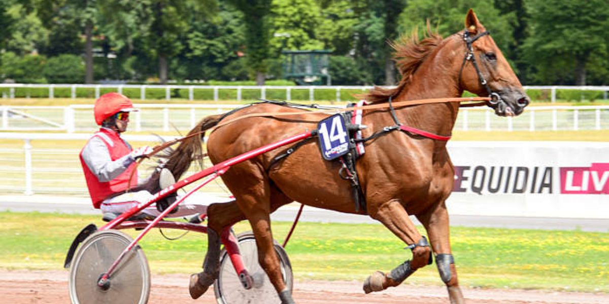 Quinté du vendredi 14 mars 2025 à Enghien: les pronostics