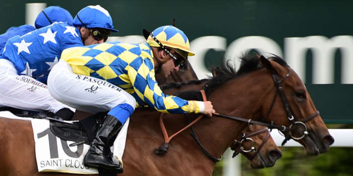 Quinté du dimanche 16 mars 2025 à Saint-Cloud: les pronostics