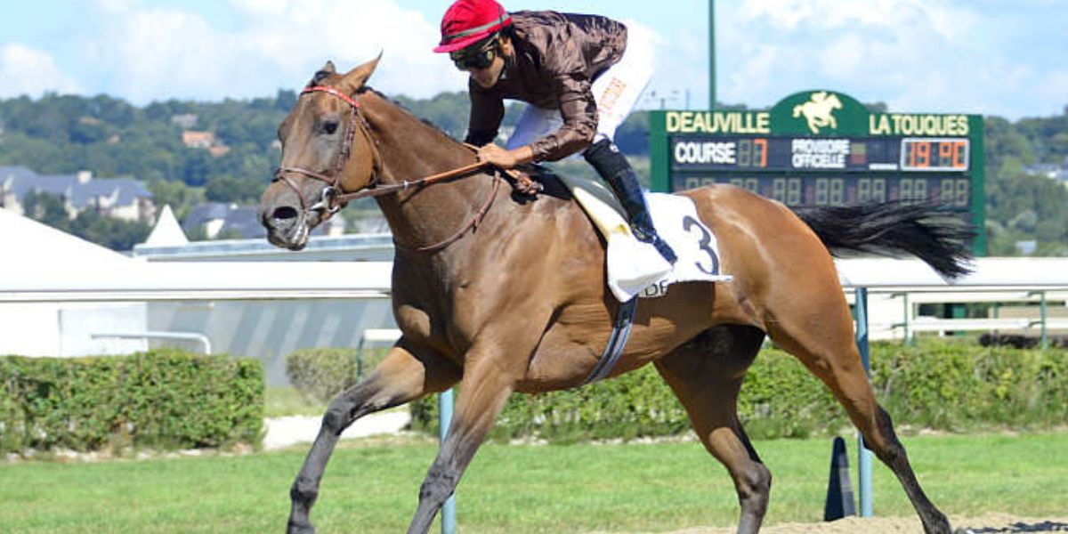 Quinté du lundi 17 mars 2025 à Chantilly: les pronostics