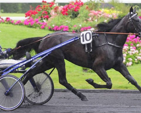 Quinté du vendredi 21 mars 2025 à Vincennes: les pronostics