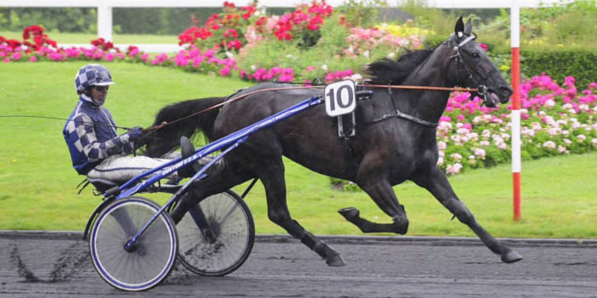 Quinté du vendredi 21 mars 2025 à Vincennes: les pronostics