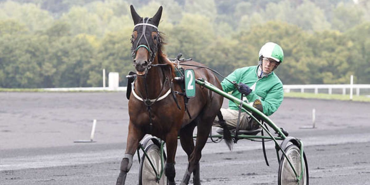 Quinté du samedi 22 mars 2025 à Vincennes: les pronostics