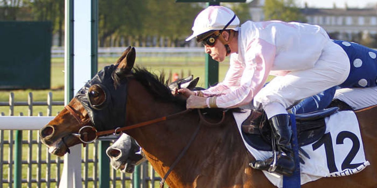 Quinté du lundi 24 mars 2025 à Chantilly: les pronostics