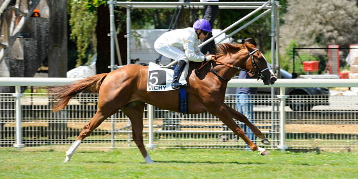 Quinté du mardi 25 mars 2025 à Saint-Cloud: les pronostics