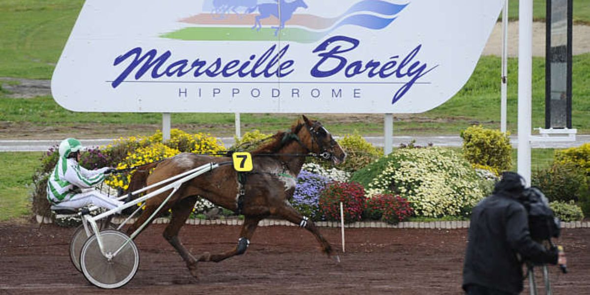 Quinté du mercredi 26 mars 2025 à Salon de Provence: les pronostics