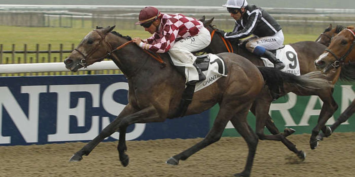 Quinté du jeudi 27 mars 2025 à Chantilly: les pronostics