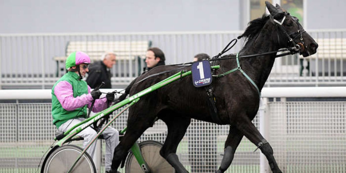 quinté du vendredi 28 mars 2025 à Vincennes: les pronostics