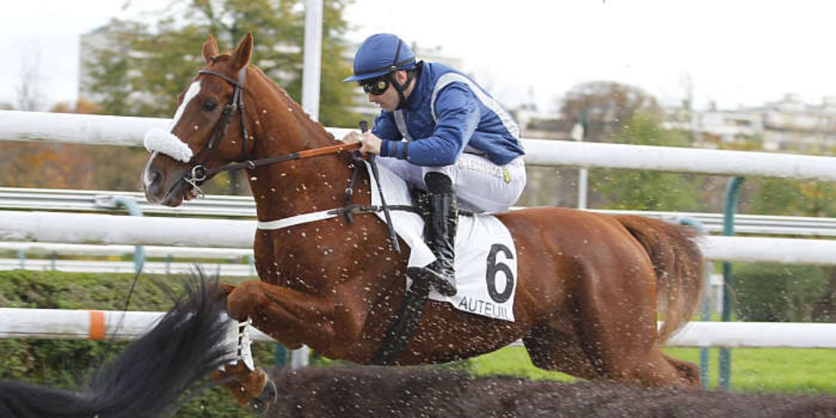 Quinté du dimanche 30 mars 2025 à Auteuil: les pronostics