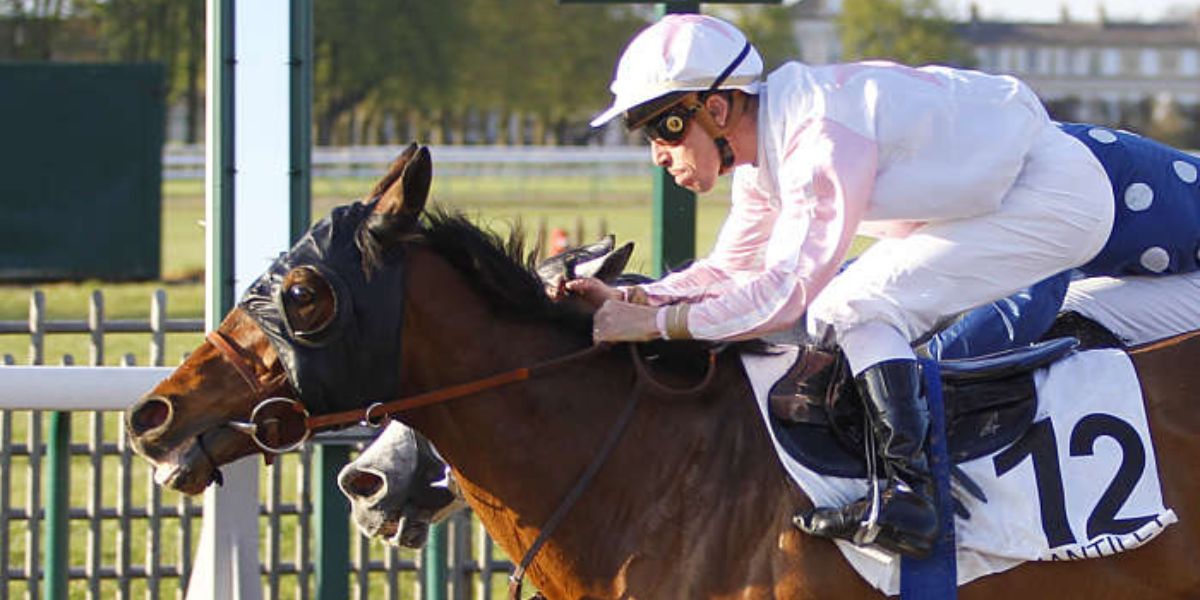 Quinté du lundi 31 mars 2025 à Chantilly: les pronostics