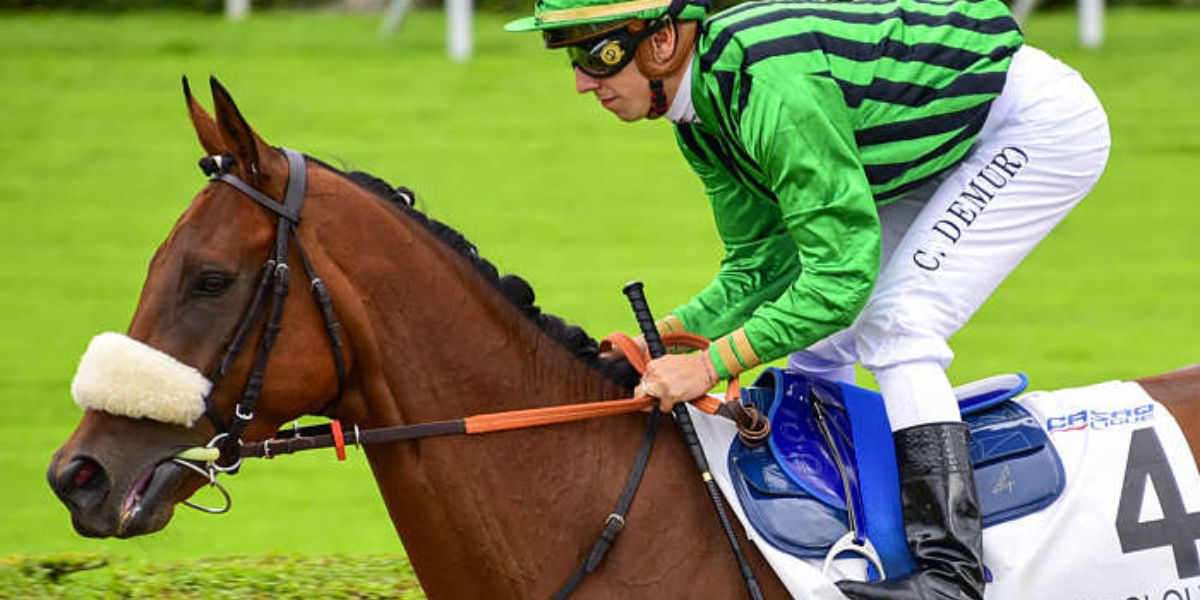 Quinté du jeudi 1er mai 2025 à Saint-Cloud: les pronostics