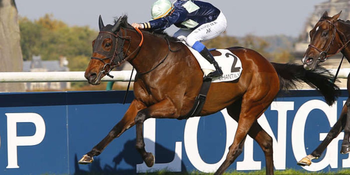Quinté du jeudi 3 avril 2025 à Chantilly: les pronostics