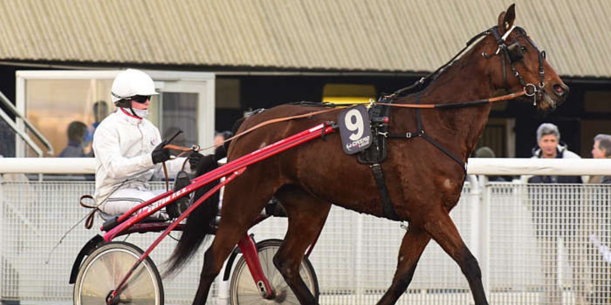 Quinté du vendredi 4 avril 2025 à Vincennes: les pronostics