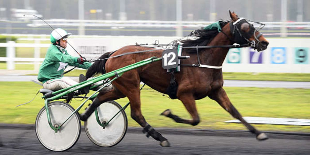 Quinté du samedi 5 avril 2025 à Vincennes: les pronostics