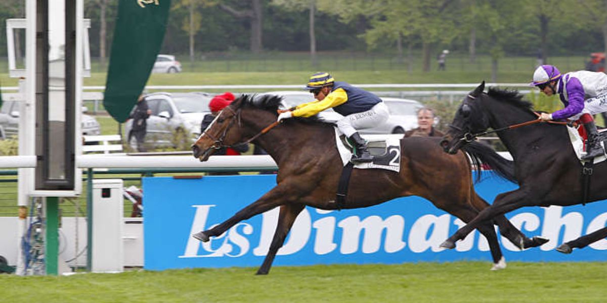 Quinté du dimanche 6 avril 2025 à Longchamp: les pronostics